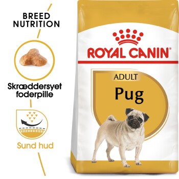 ROYAL CANIN Mops Adult 1