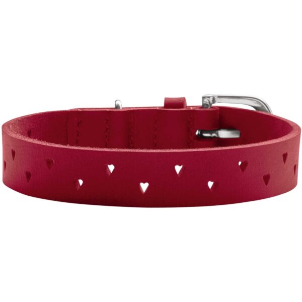 Hunter Halsband Aalborg Soul rot 25 cm