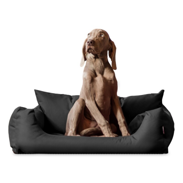 Tierlando NEMO Hundebett Hundesofa S M L Hundekorb Katzenbett 65 80 100cm schwarz/ graphit 65 cm