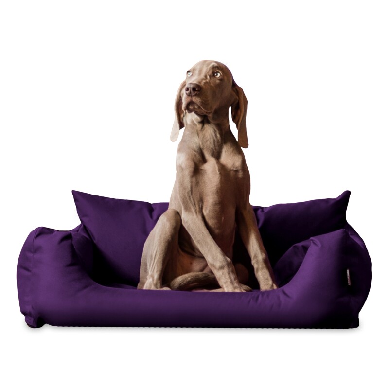 Tierlando NEMO Hundebett Hundesofa S M L Hundekorb Katzenbett 65 80 100cm lila 80 cm