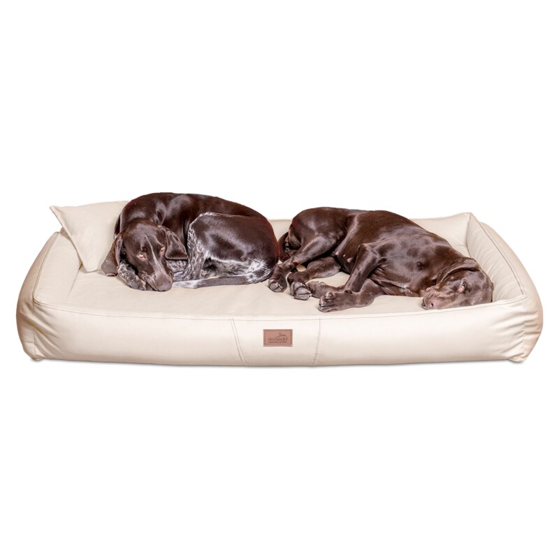 Tierlando ® CLIFFORD LATEX Orthopädische Hundematratze creme 1 m