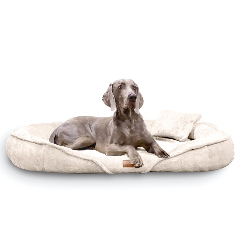 Tierlando ® XENIA - Orthopädisches Hundebett / Hundesofa creme 1