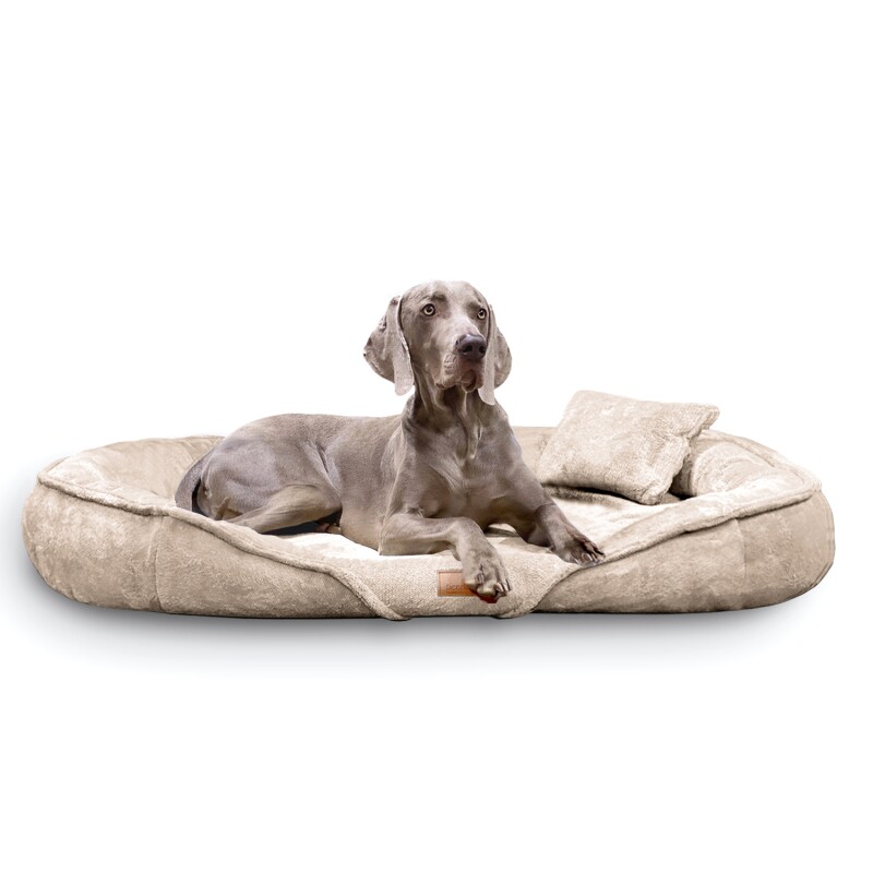 Tierlando ® XENIA - Orthopädisches Hundebett / Hundesofa beige 1