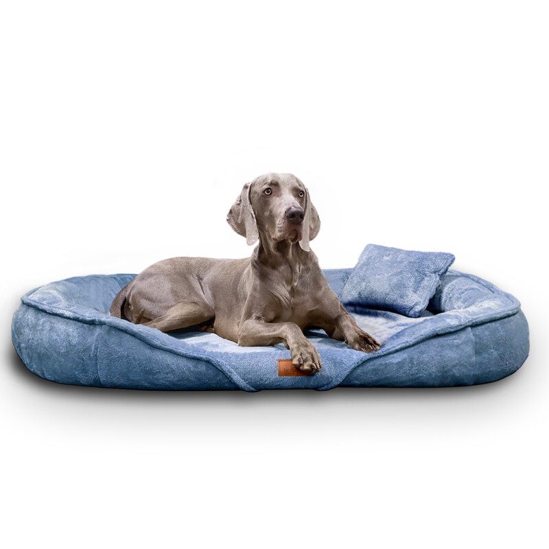 Tierlando ® XENIA - Orthopädisches Hundebett / Hundesofa hellblau 1