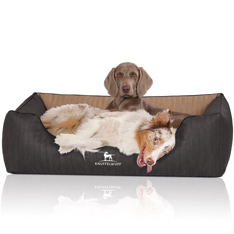 Knuffelwuff Orthopädisches Hundebett Outback aus laser-gestepptem Kunstleder creme/ schwarz XL