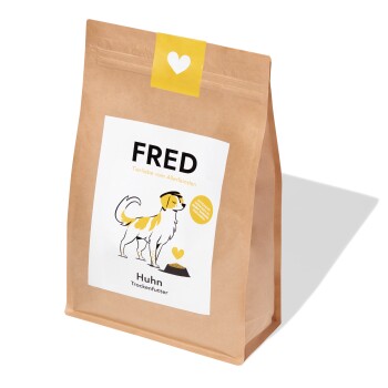 Fred & Felia FRED Huhn 2