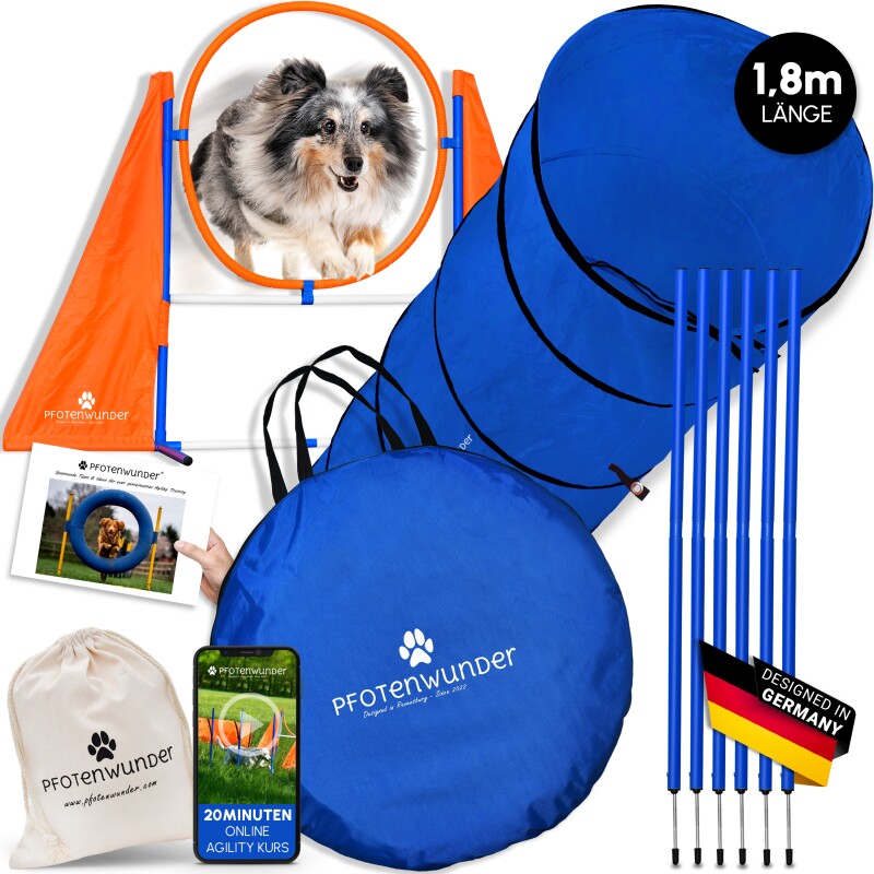 PfotenWunder® Agility-Medium-Set Hunde groß + 21 Min. HUNDESCHULE - 6 Slalomstangen