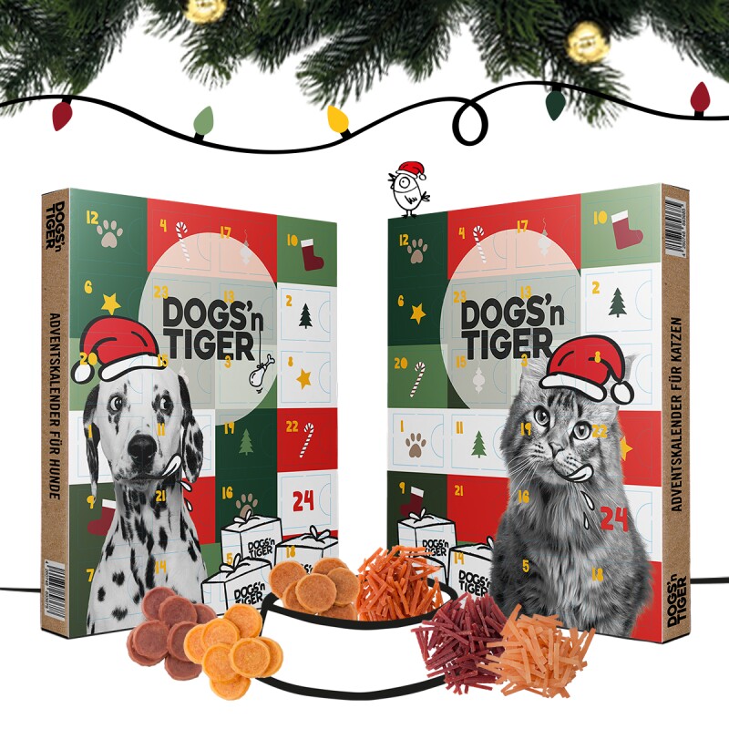 Dogs'n Tiger Dogs´n Tiger Adventsbundle