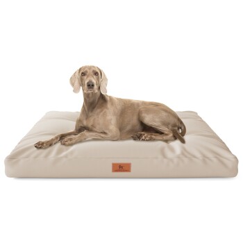 Knuffelwuff Hundekissen Gatsby aus Oxford-Gewebe beige M-L