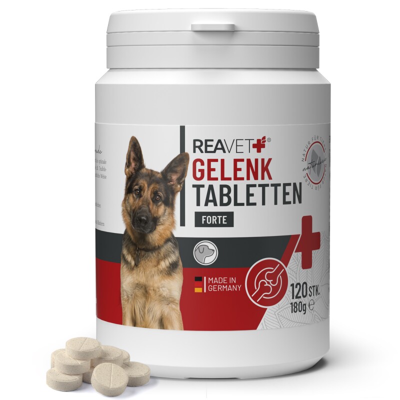 REAVET Gelenktabletten Forte 120Stk