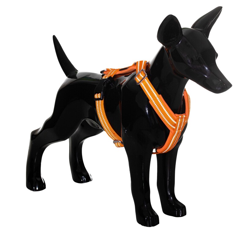 Paikka Easy Harness orange orange XXS