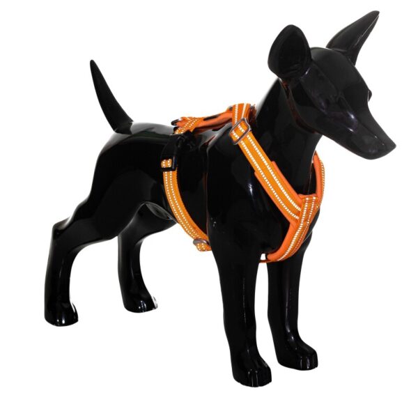 Paikka Easy Harness orange orange XS