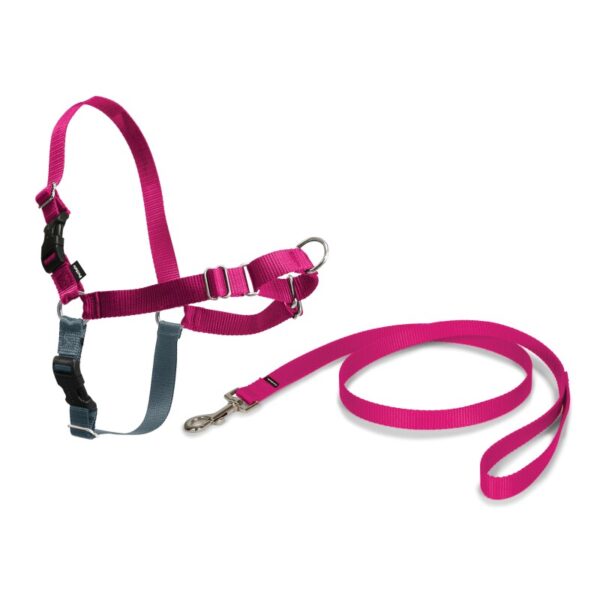 Easy Walk Anti-Zieh-Hundegeschirr himbeere M