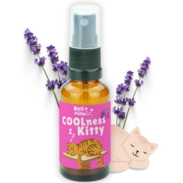 BeG Buddy COOLness Kitty Spray für Katzen