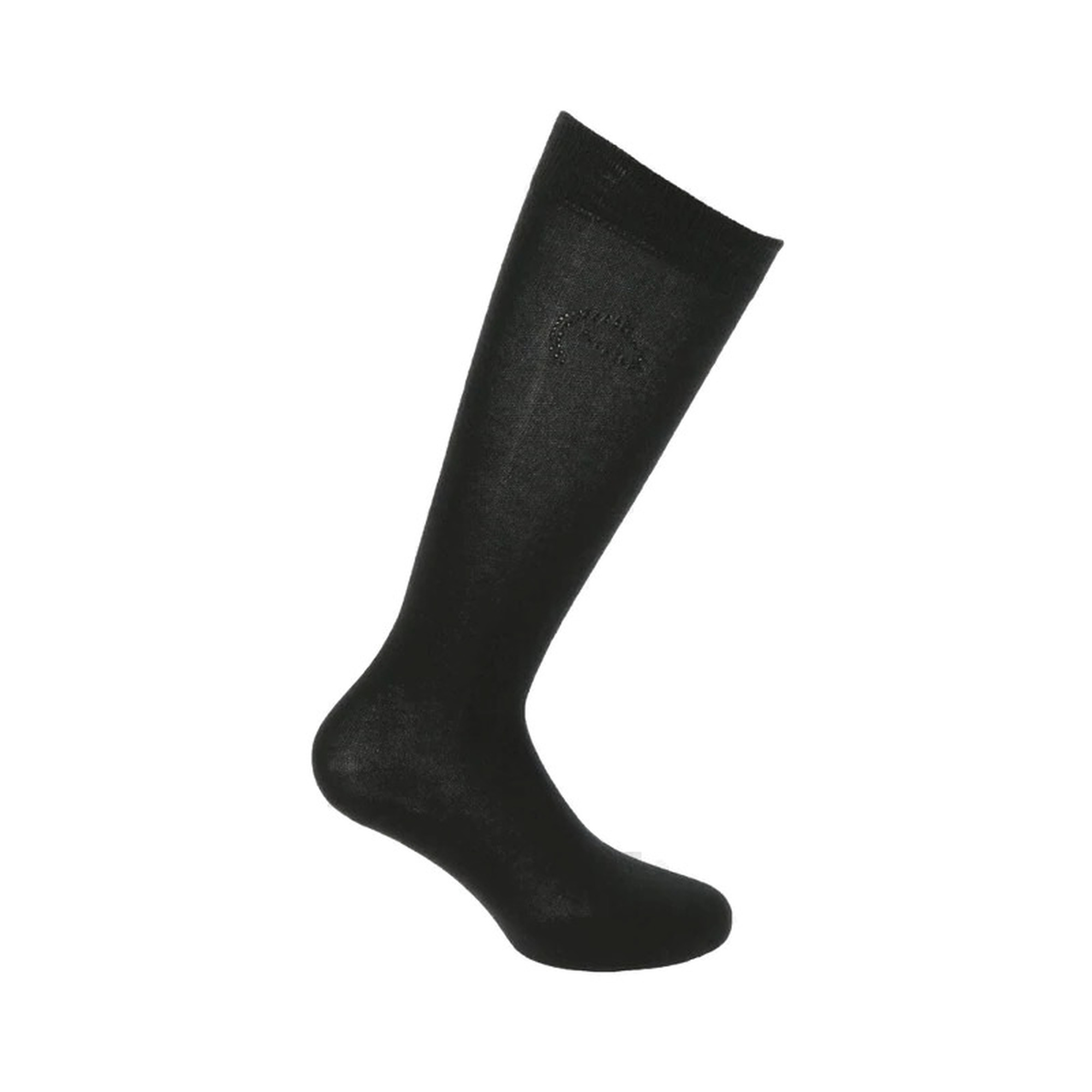 Reitsocken Equithème Logo