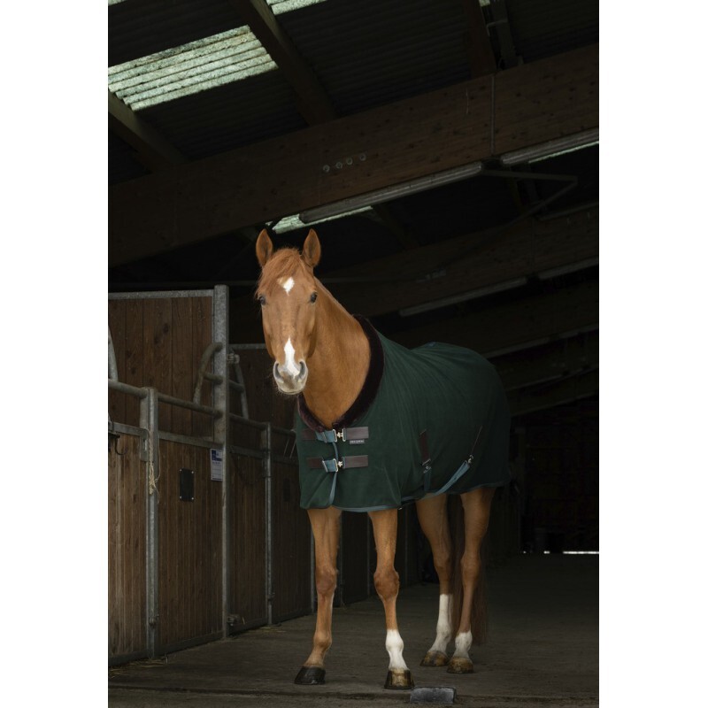 Pferdedecke Equithème Teddy 0g