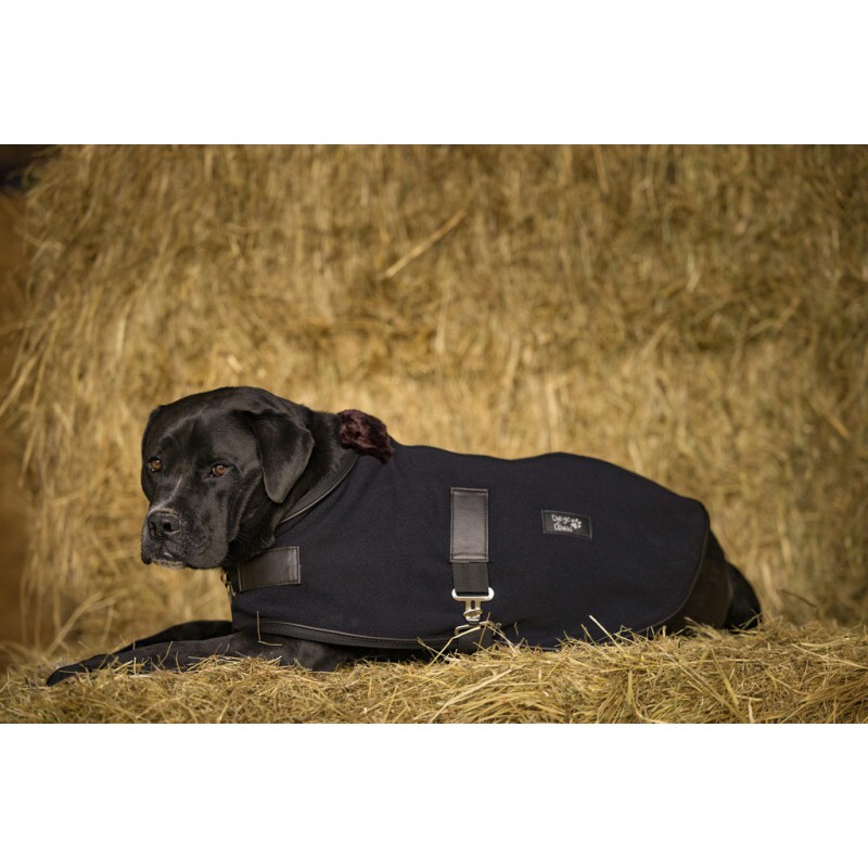 Fleece-Hundedecke Diego & Louna Teddy