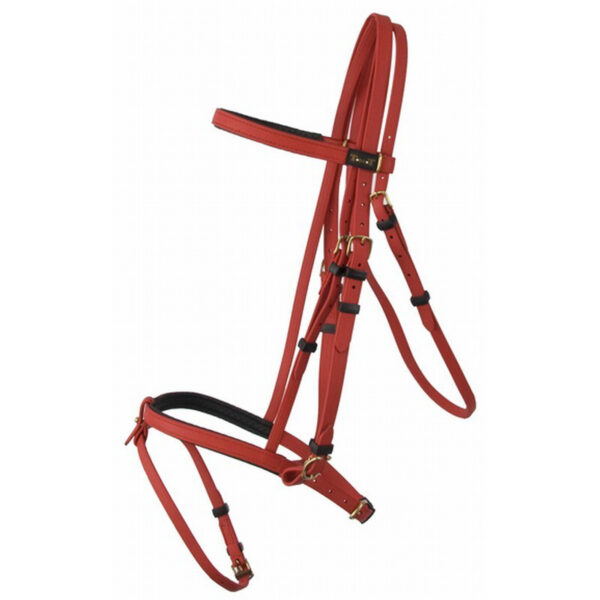 Zaumzeug Reiten T de T Sidepull Biotack®