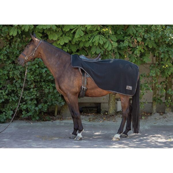 Fleece-Nierenabdeckung für Pferde Harry's Horse