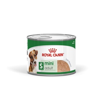 ROYAL CANIN Mini Adult Mousse 12x195 g