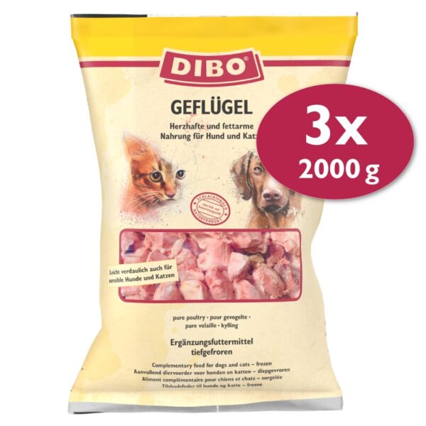 DIBO Frostfutter Geflügel 3x2 kg