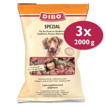 DIBO Frostfutter Spezial 3x2 kg