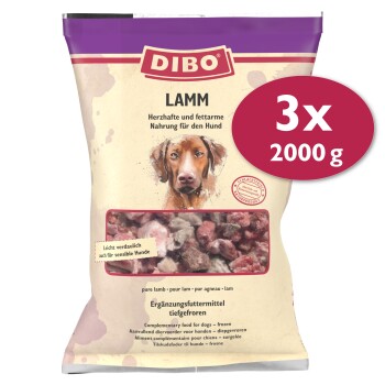 DIBO Frostfutter Lamm 3x2 kg