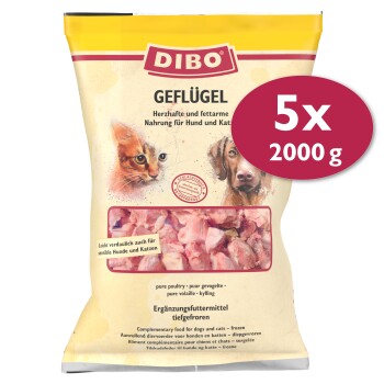 DIBO Frostfutter Geflügel 5x2 kg