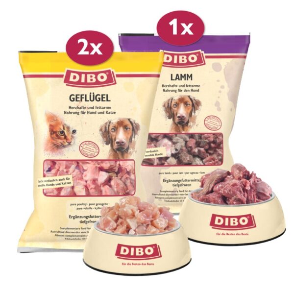 DIBO Frostfutter Geflügel & Lamm Bundle