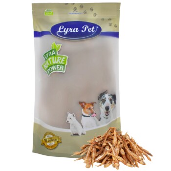 Lyra Pet Kleine Fische 1 kg