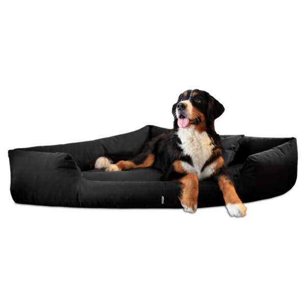 Tierlando TRIVIA orthopädisches Hundebett schwarz 80 cm