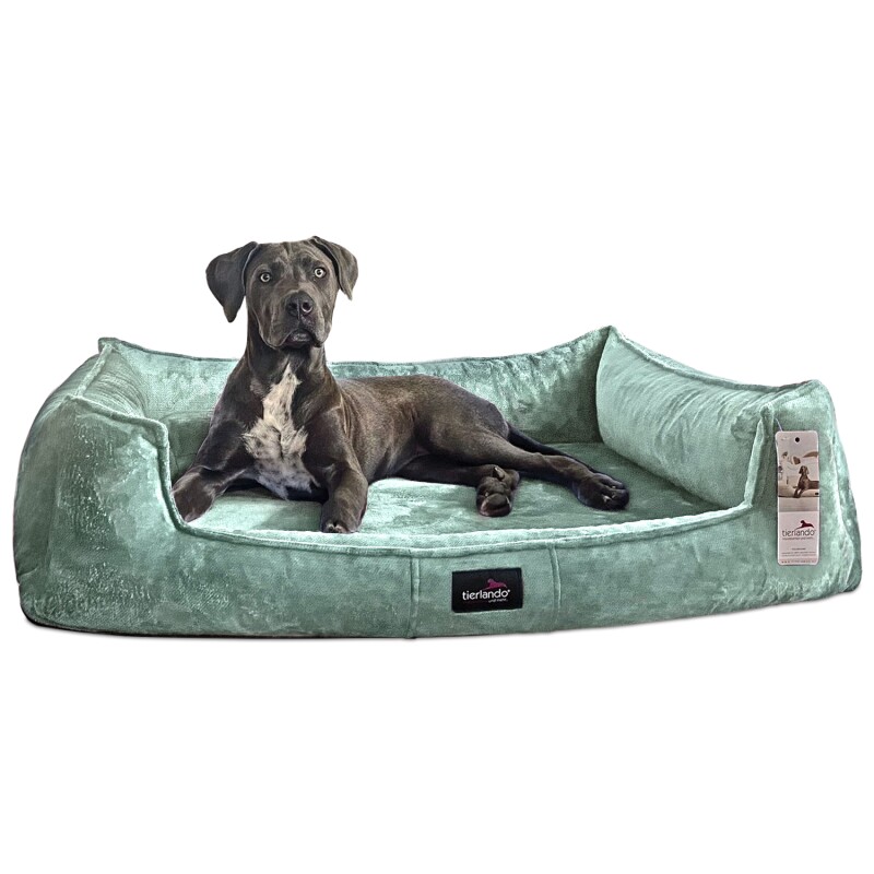 Tierlando ® Orthopädisches Hundebett FRANKLIN Kuscheliger Teddy-Stoff - Hundesofa mint 1