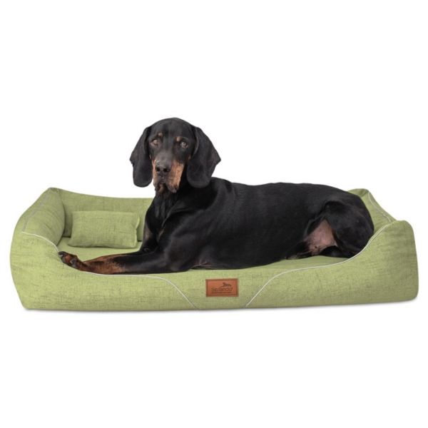 Tierlando ® WILLIAM Couture - Orthopädisches Hundebett | Bequemes Hundesofa hellgrün 1