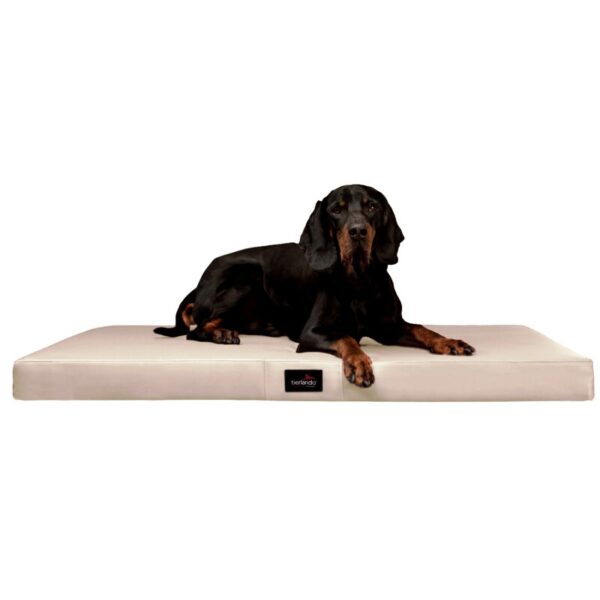 Tierlando ® Orthopädische Hundematratze ALICE EASY CLEAN Kunstleder Hundebett creme 80 cm