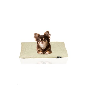 Rohrschneider ® weiches Hundebett mit waschbarem Bezug aus Cord M