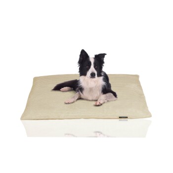 Rohrschneider ® weiches Hundebett mit waschbarem Bezug aus Cord XL