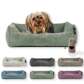 Rohrschneider ® Hundebett waschbar für kleine Hunde mit Hundekissen Cord (ca. 55x42 cm) inkl. Gassibeutel