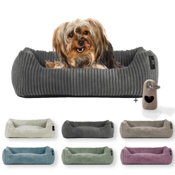 Rohrschneider ® Hundebett waschbar für kleine Hunde mit Hundekissen Cord (ca. 55x42 cm) inkl. Gassibeutel