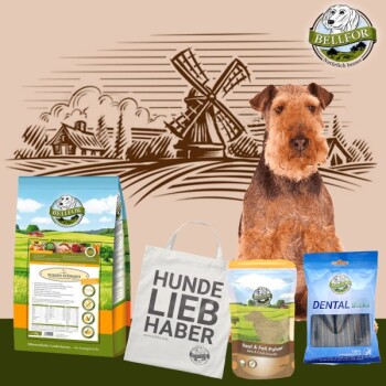 Bellfor Airedale Terrier Futter Set 4