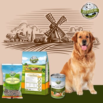 Bellfor Golden Retriever Futter Set