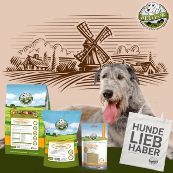 Bellfor Irischer Wolfshund Futter Set