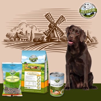 Bellfor Labrador Futter Set