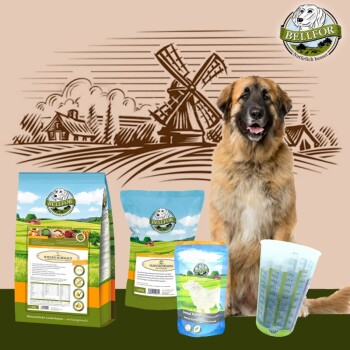 Bellfor Leonberger Futter Set