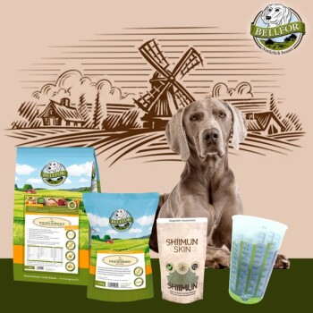 Bellfor Weimaraner Futter Set