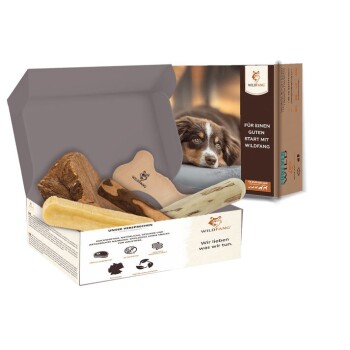 Wildfang ® Kauwurzel / Kauspielzeug Paket Hundebox - Kauspaß M