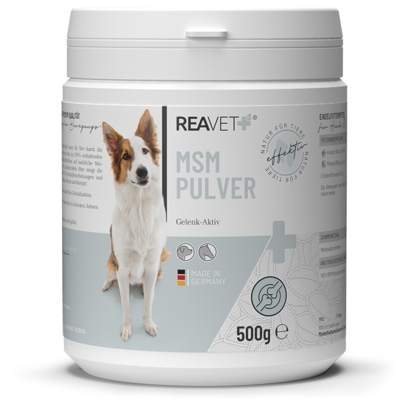 REAVET MSM Pulver 500g