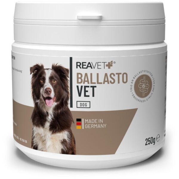 REAVET BallastoVET 250g