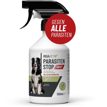 REAVET Parasiten Spray AKUT