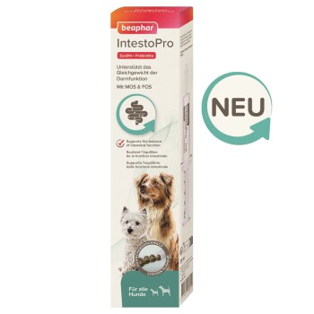 Beaphar IntestoPro Paste für Hunde 2x20 ml